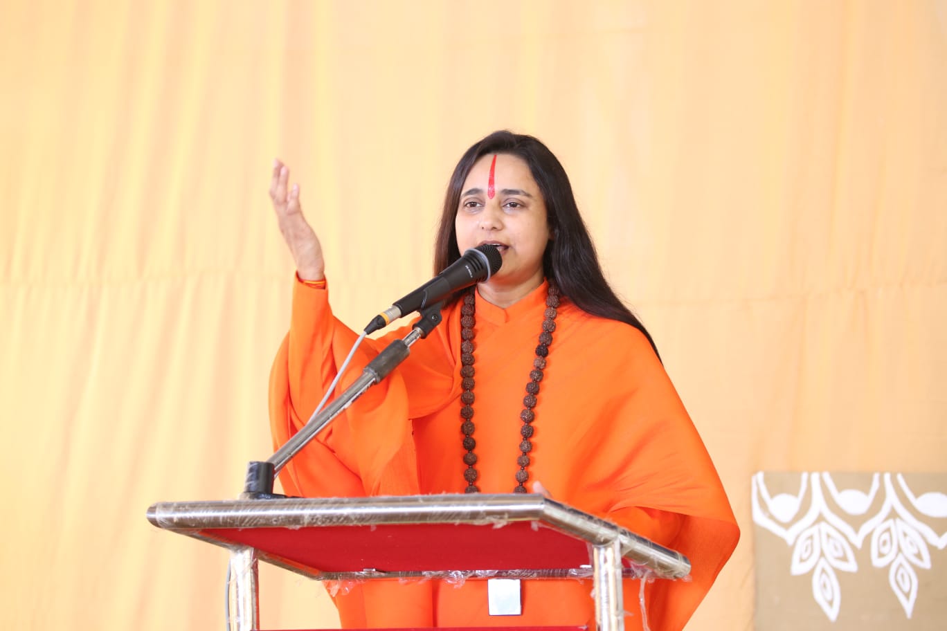 Read more about the article दिव्य ज्योति जाग्रति संस्थान की ओर से आश्रम कपूरथला में तीज पर्व के उपलक्ष्य पर एक भव्य कार्यक्रम का आयोजन किया गया